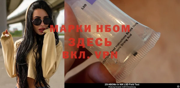хмурый Алексин