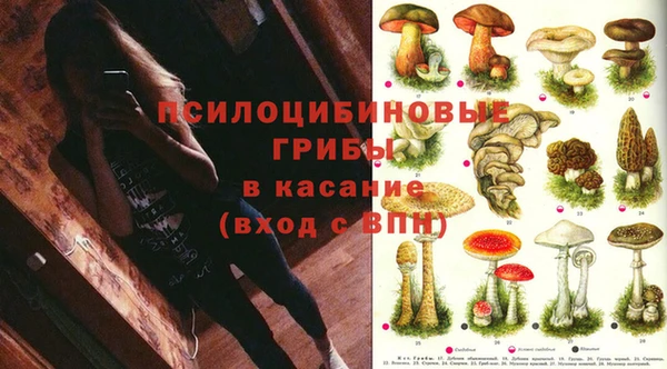 хмурый Алексин