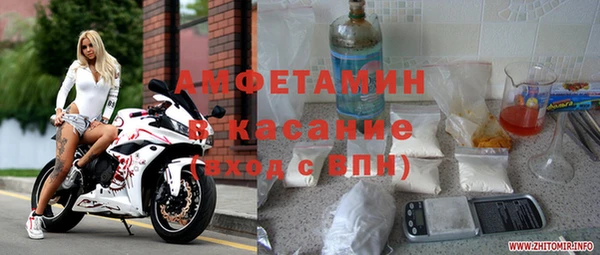 хмурый Алексин