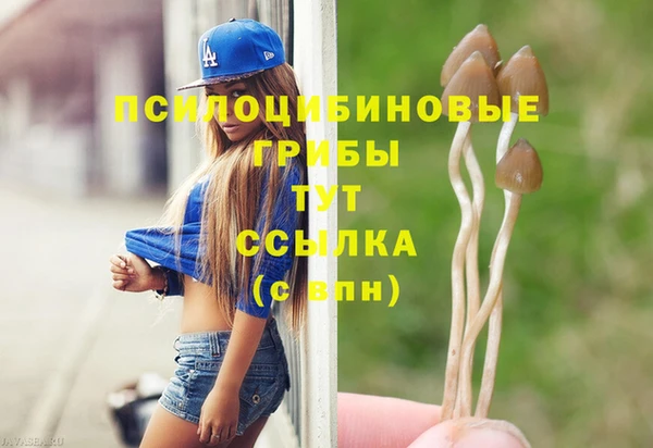 шишки Алексеевка