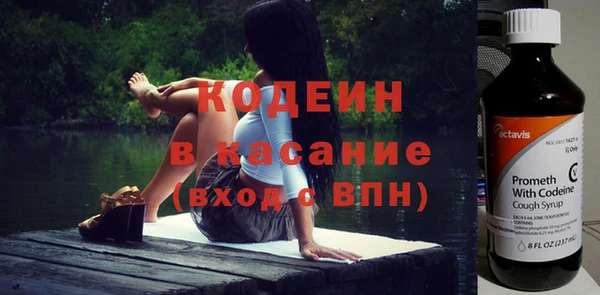 хмурый Алексин